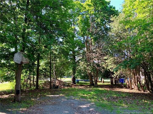 47 Elm St, Saint Stephen, NB - Outdoor
