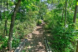 Follow your path from the deck to the water... - 