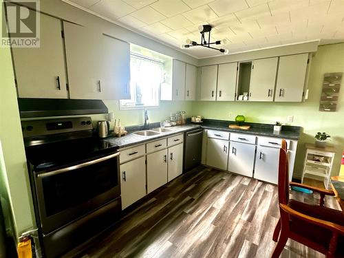 3 Sunset Drive, Badger, NL - Indoor Photo Showing Kitchen With Double Sink