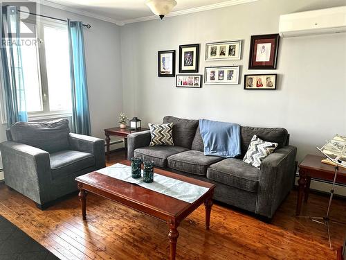 3 Sunset Drive, Badger, NL - Indoor Photo Showing Living Room