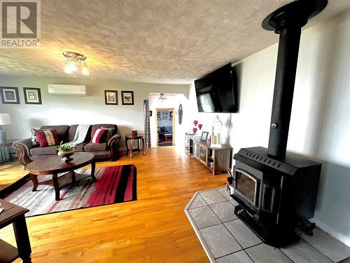 3 Sunset Drive, Badger, NL - Indoor Photo Showing Living Room