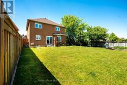 Backyard - 
