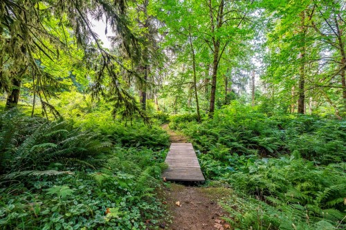 7003 River Ave North, Courtenay, BC 