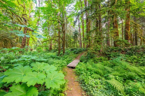 7003 River Ave North, Courtenay, BC 