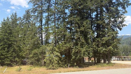 Harold Street, Slocan, BC - Outdoor With View