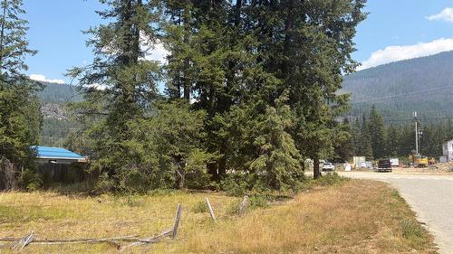 Harold Street, Slocan, BC - Outdoor With View