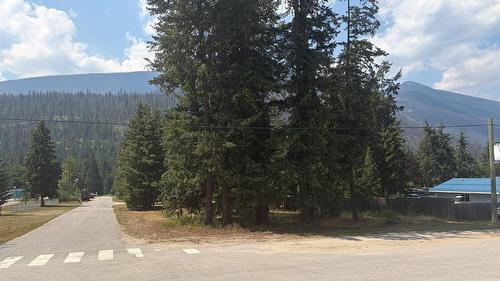 Harold Street, Slocan, BC - Outdoor With View