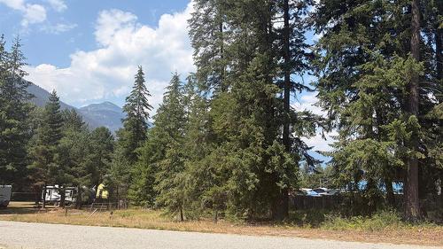 Harold Street, Slocan, BC - Outdoor With View