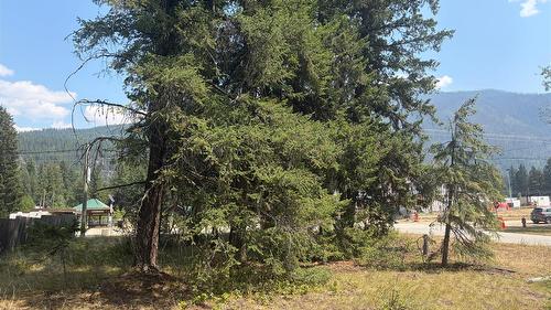 Harold Street, Slocan, BC - Outdoor With View