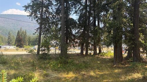 Harold Street, Slocan, BC - Outdoor With View