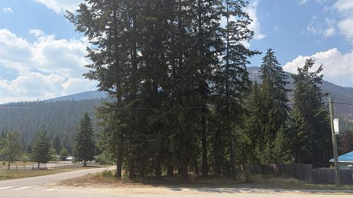Harold Street, Slocan, BC - Outdoor With View
