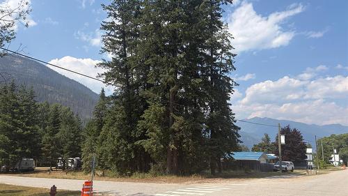 Harold Street, Slocan, BC - Outdoor With View