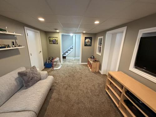 338 Dacre Street, Thunder Bay, ON - Indoor Photo Showing Basement