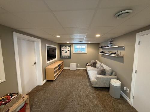 338 Dacre Street, Thunder Bay, ON - Indoor Photo Showing Basement