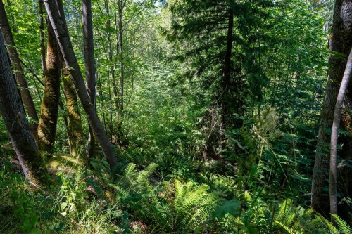 00 Thompson Ave, Nanaimo, BC 