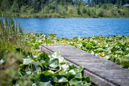 00 Thompson Ave, Nanaimo, BC 