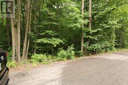 PT 1 8R4035 RONSON ROAD North Dundas, ON K0E 1S0