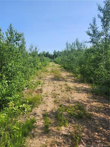 Lot 116 Highway, Harcourt, NB - Outdoor With View