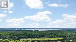 Lake Muskoka in the distance. - 