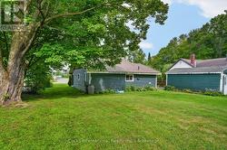Backyard - 