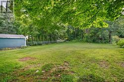 Backyard - 