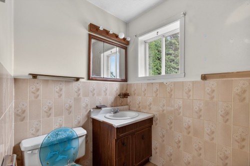Salle de bains - 26 Rue Des Loisirs, Brébeuf, QC - Indoor Photo Showing Bathroom