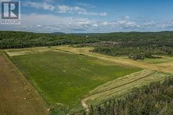 875 Lake George RD E|Laird Township  Echo Bay, ON P0S 1C0