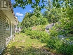 LOW maintenance yard, backing onto your forest. - 