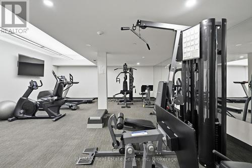 Gym - 310 - 19 Stumpf Street, Centre Wellington (Elora/Salem), ON - Indoor Photo Showing Gym Room