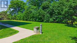 Gorgeous ground - 