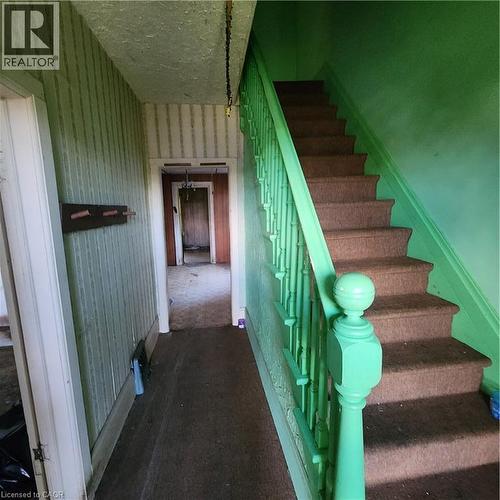 Staircase with carpeted treads and green painted balusters, alongside a hallway with textured wallpaper - 365 Victoria Street N, Kitchener, ON 