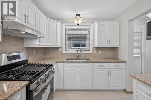 41 Darlington Drive, Hamilton, ON - Indoor Photo Showing Kitchen With Double Sink