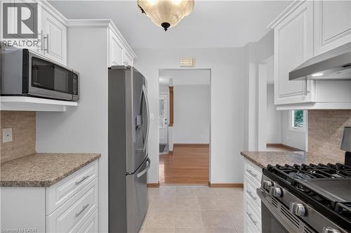 41 Darlington Drive, Hamilton, ON - Indoor Photo Showing Kitchen With Upgraded Kitchen