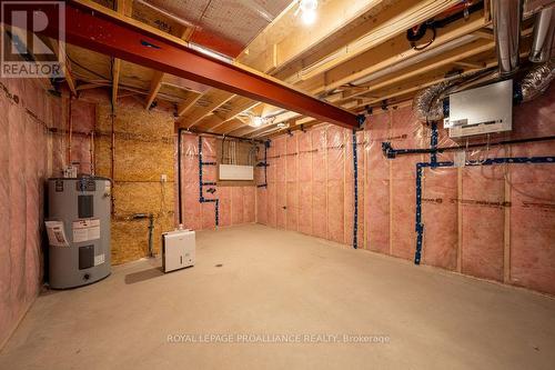 Utility & Storage - 159 Pomeroy Avenue, Tweed (Tweed (Village)), ON - Indoor Photo Showing Basement