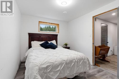 3230 Pattee Road E, Champlain, ON - Indoor Photo Showing Bedroom