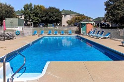 Piscine - 
