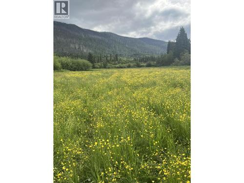 10443 Nithi Pit Road, Fraser Lake, BC - Outdoor With View
