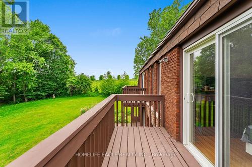 5803 3Rd Line, New Tecumseth, ON - Outdoor With Deck Patio Veranda