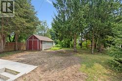 Expansive backyard featuring a red wood-sided shed with a metal roof, mature evergreen trees, a partial wood fence, and a concrete patio with steps - 