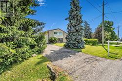 Long driveway with plenty of parking & no sidewalk - 