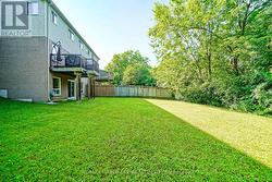Large Private Yard With Lots of Privacy - 