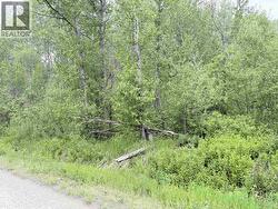 23336 HOWELLS ROAD Smithers, BC V0J 2N0