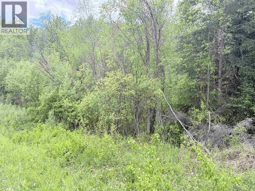 23336 Howells Road, Smithers, BC 