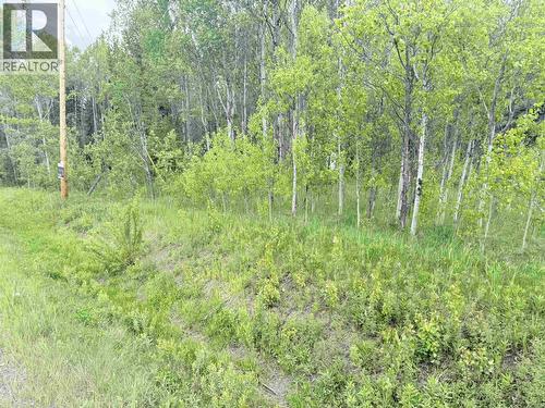 23336 Howells Road, Smithers, BC 