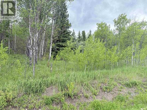 23336 Howells Road, Smithers, BC 