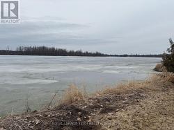 early spring photo - 