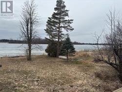 early spring - 