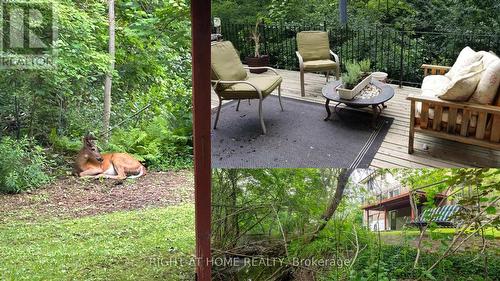 2 Cedarview Drive, Toronto, ON - Outdoor