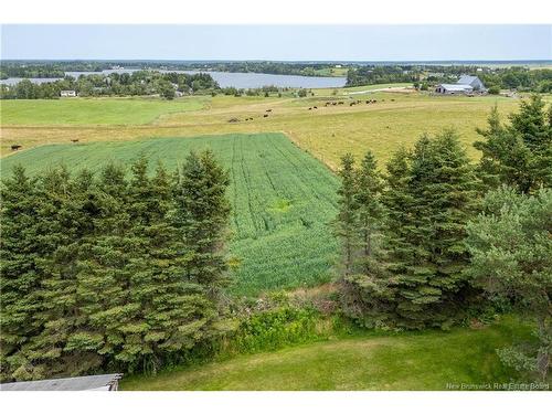 31 Walker Rd, Sackville, NB 