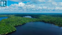 Expansive waterfront acreage featuring multiple lakes and dense forestland - 